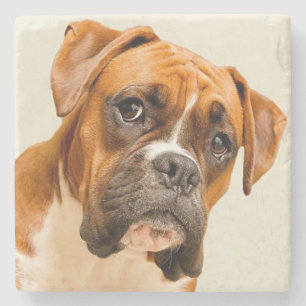 Boxer puppy op ivoorcrème achtergrond. stenen onderzetter