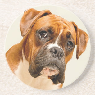 Boxer puppy op ivoorcrème achtergrond. zandsteen onderzetter