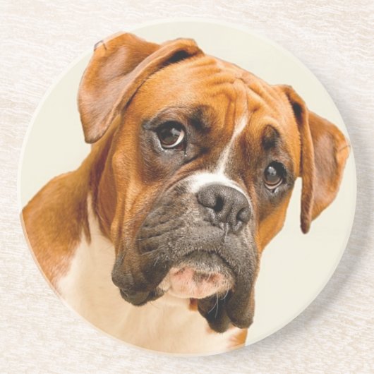 Boxer puppy op ivoorcrème achtergrond. zandsteen onderzetter (Voorkant)