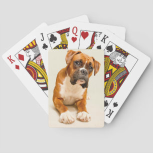 Boxer puppy op ivoorkleurige achtergrond. pokerkaarten