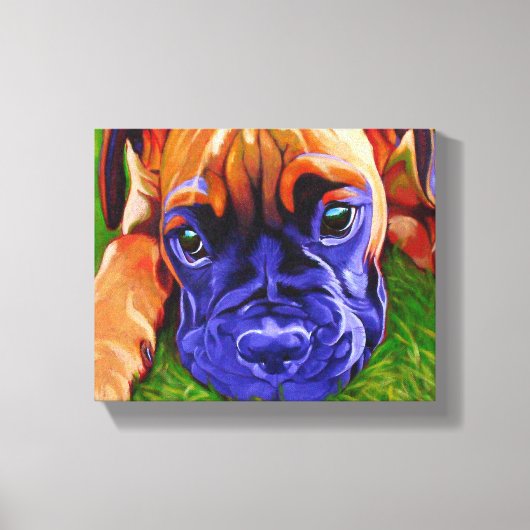 Boxer Puppy op Verpakt Canvas Afdruk (Voorkant)