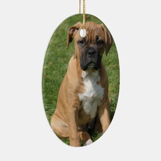 Boxer Puppy Ornament (Rechts)