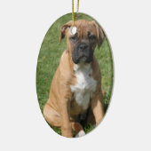 Boxer Puppy Ornament (Links)