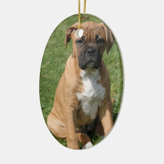 Boxer Puppy Ornament (Links)