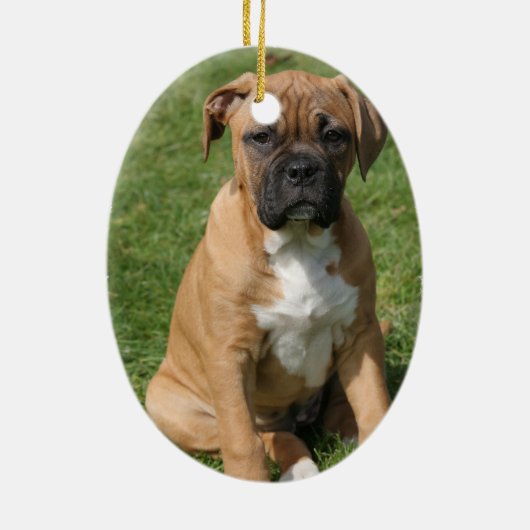 Boxer Puppy Ornament (Achterkant)