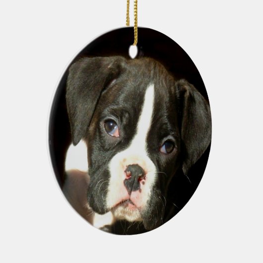 Boxer puppy ornament (Rechts)