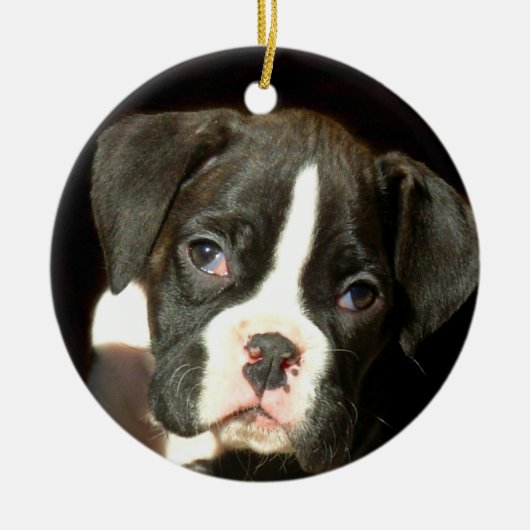 Boxer puppy ornament (Voorkant)
