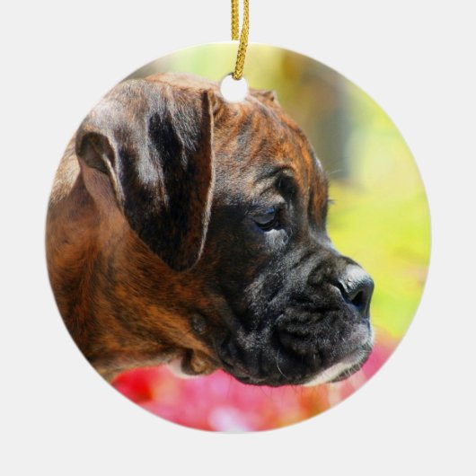 Boxer puppy ornament (Voorkant)