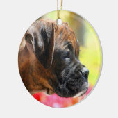 Boxer puppy ornament (Links)