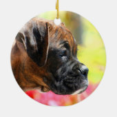 Boxer puppy ornament (Achterkant)