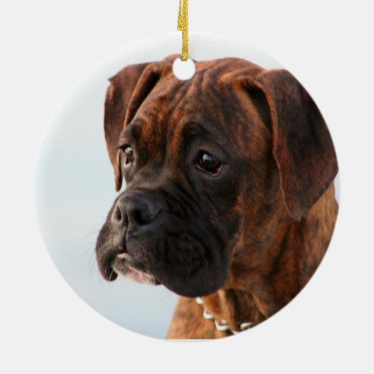 Boxer puppy ornament (Achterkant)