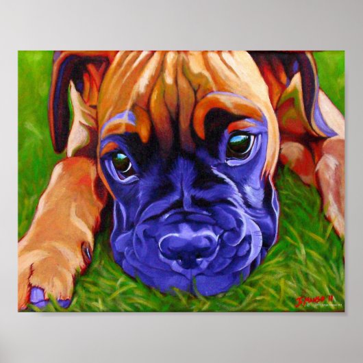 Boxer Puppy Poster (Voorkant)