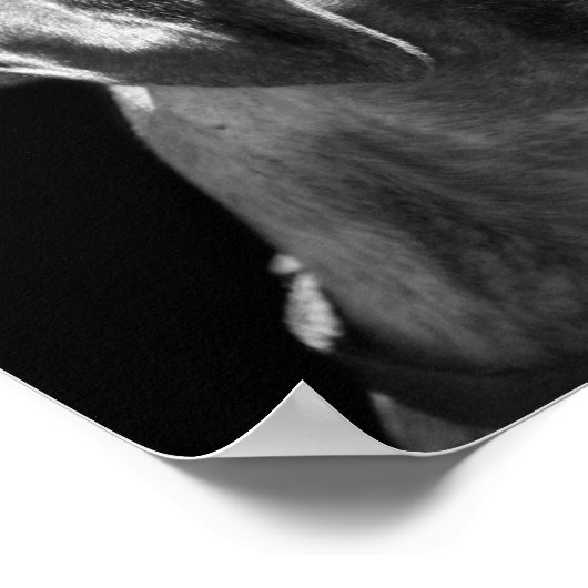 Boxer Puppy Poster (Hoek)