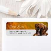 Boxer Puppy Return Label (Insitu)