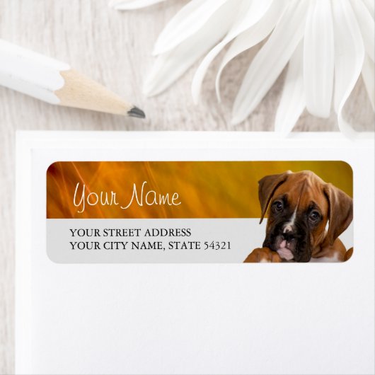 Boxer Puppy Return Label (Insitu)