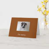 Boxer puppy, sorry kaart. kaart (Gele Bloem)