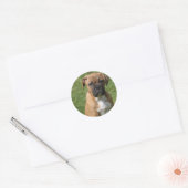 Boxer Puppy Sticker (Envelop)