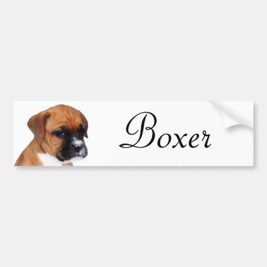 Boxer puppy sticker (Voorkant)