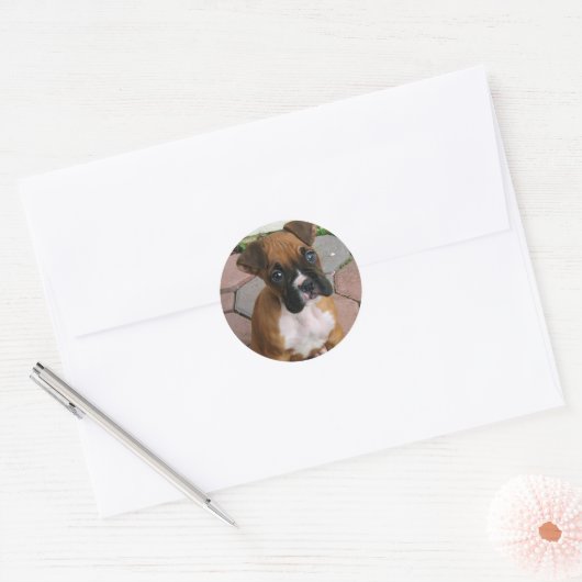 Boxer Puppy stickers (Envelop)