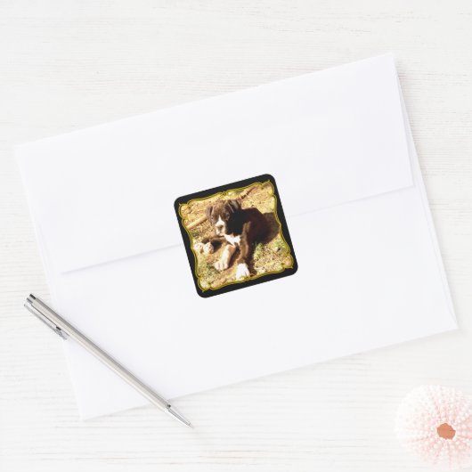 Boxer puppy stickers (Envelop)