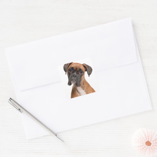Boxer Puppy Vierkante Sticker (Envelop)
