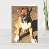 Boxer Puppy wenskaart Kaart (Voorkant)