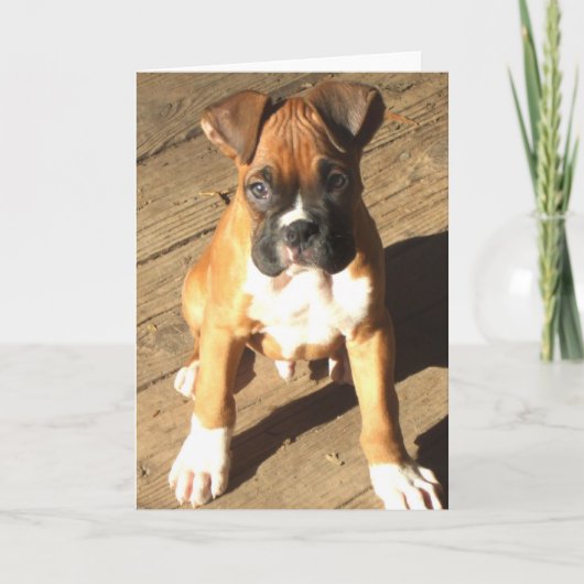 Boxer Puppy wenskaart Kaart (Voorkant)