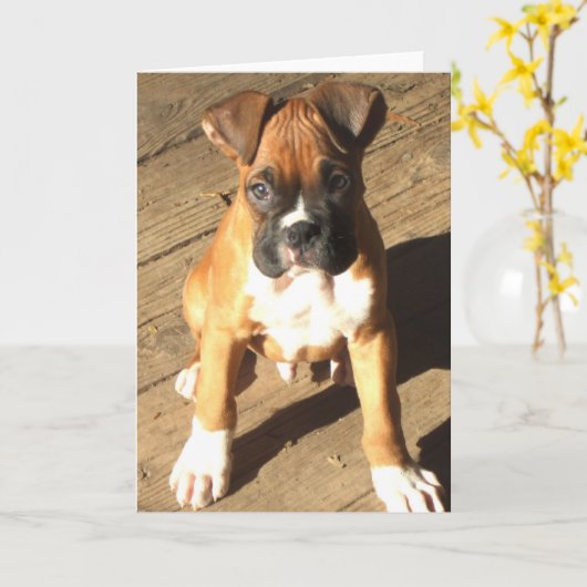Boxer Puppy wenskaart Kaart (Gele Bloem)