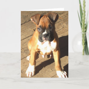 Boxer Puppy wenskaart Kaart