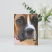 Boxer Rescue Briefkaart (Staand voorkant)