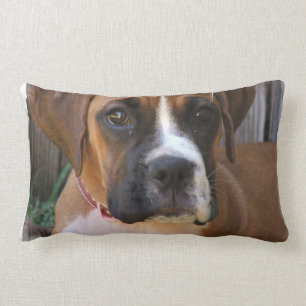 Boxer Rescue Pillow Kussen