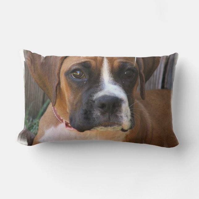 Boxer Rescue Pillow Kussen (Voorkant)