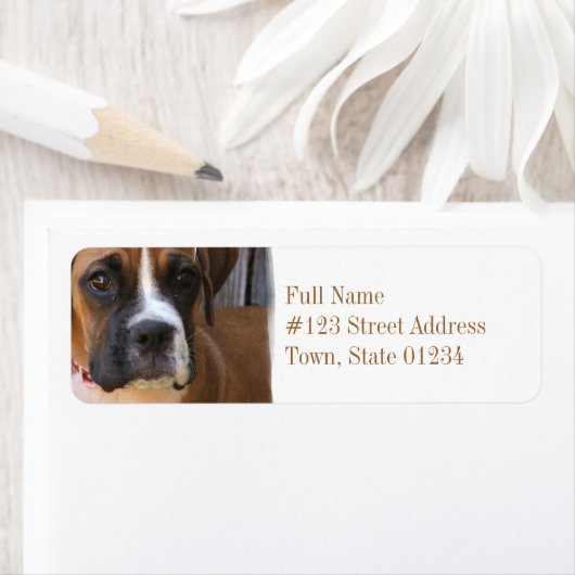 Boxer Rescue retour adres label (Insitu)