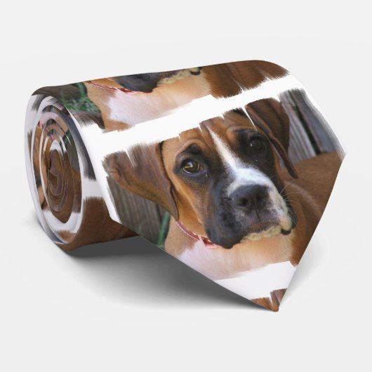 Boxer Rescue Stropdas (Opgerold)