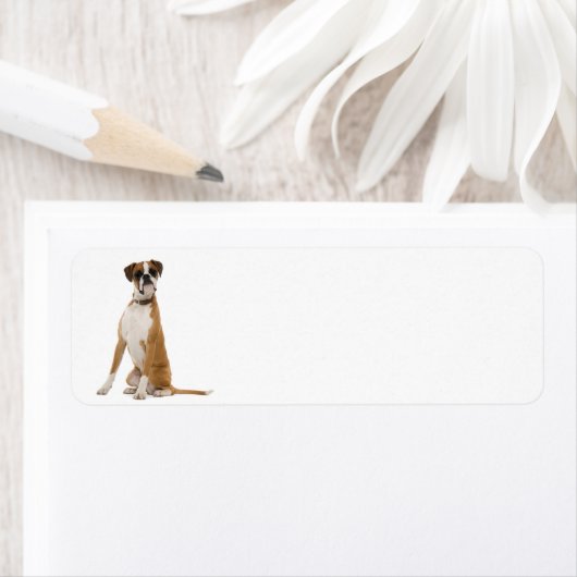 Boxer Return-adreslabels Etiket (Insitu)