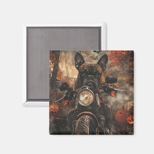 Boxer rijden motorfiets halloween eng magneet (Voorkant / Achterkant)