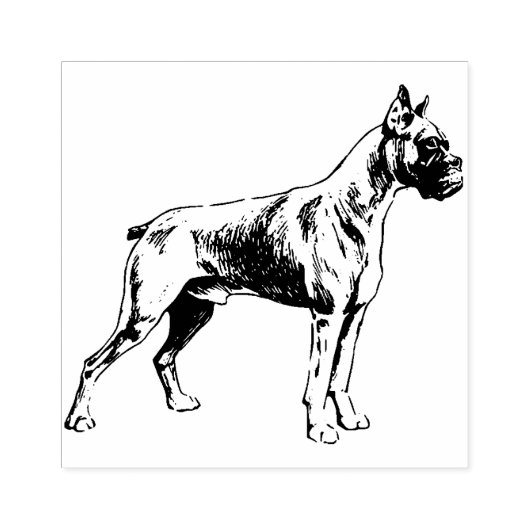 Boxer Rubberstempel (Afrduk)