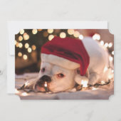 Boxer Santa Feestdagenkaart (Voorkant)