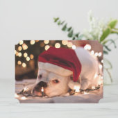 Boxer Santa Feestdagenkaart (Staand voorkant)