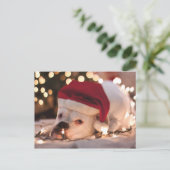 Boxer Santa Feestdagenkaart (Staand voorkant)