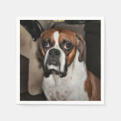 Boxer Servetten (Voorkant)