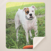 Boxer Sherpa Deken (Voorkant)