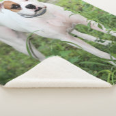 Boxer Sherpa Deken (3/4)