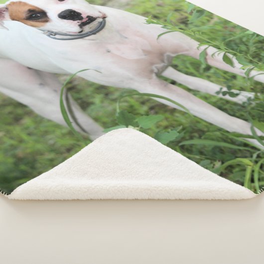 Boxer Sherpa Deken (3/4)