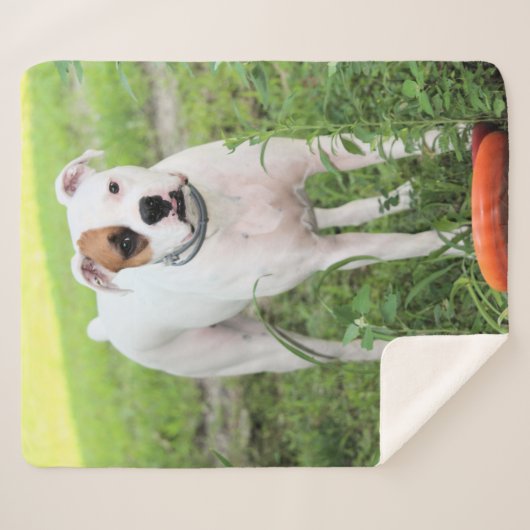 Boxer Sherpa Deken (Voorkant (horizontaal))