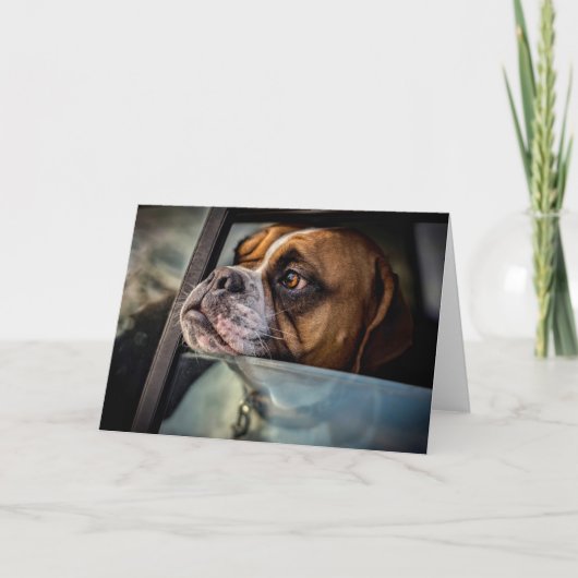 Boxer smelt een BBQ-kaart Kaart (Voorkant)