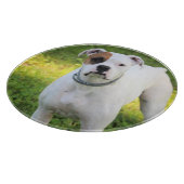 Boxer Snijplank (Hoek)
