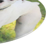 Boxer Snijplank (Hoek)
