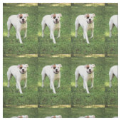 Boxer Stof (Swatch)