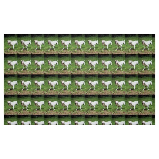 Boxer Stof (Fat Quarter)